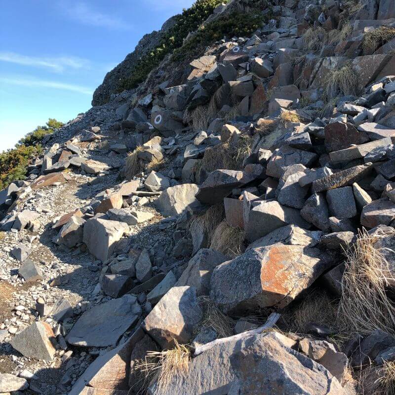 登山道