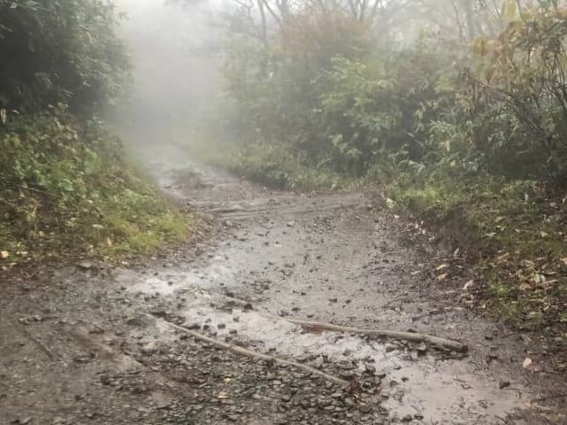 雨の登山道