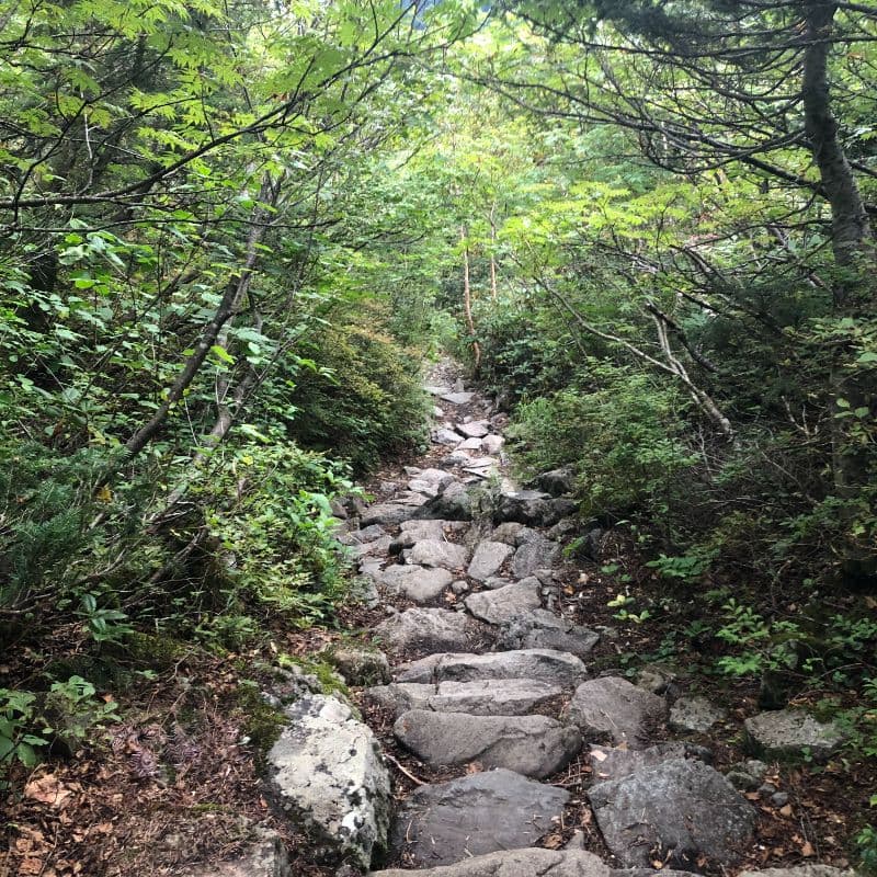 岳沢小屋から上高地への登山道