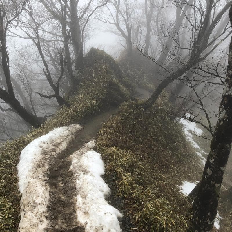 雪の残った登山道