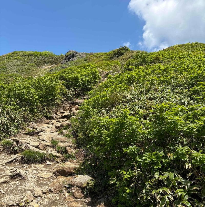 登山道