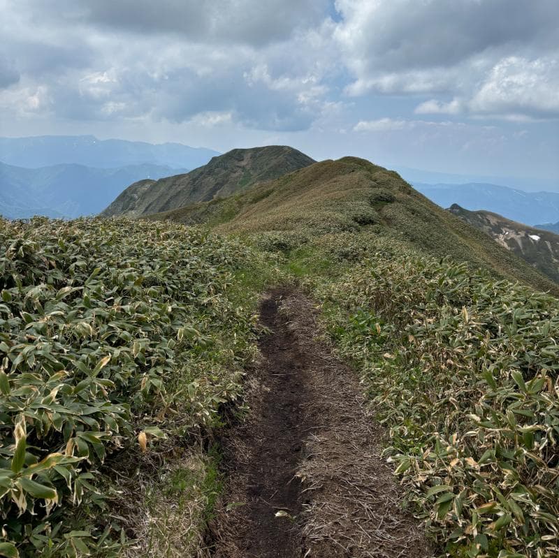 茂倉岳への登山道