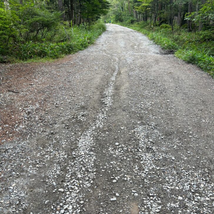 美濃戸からの登山道