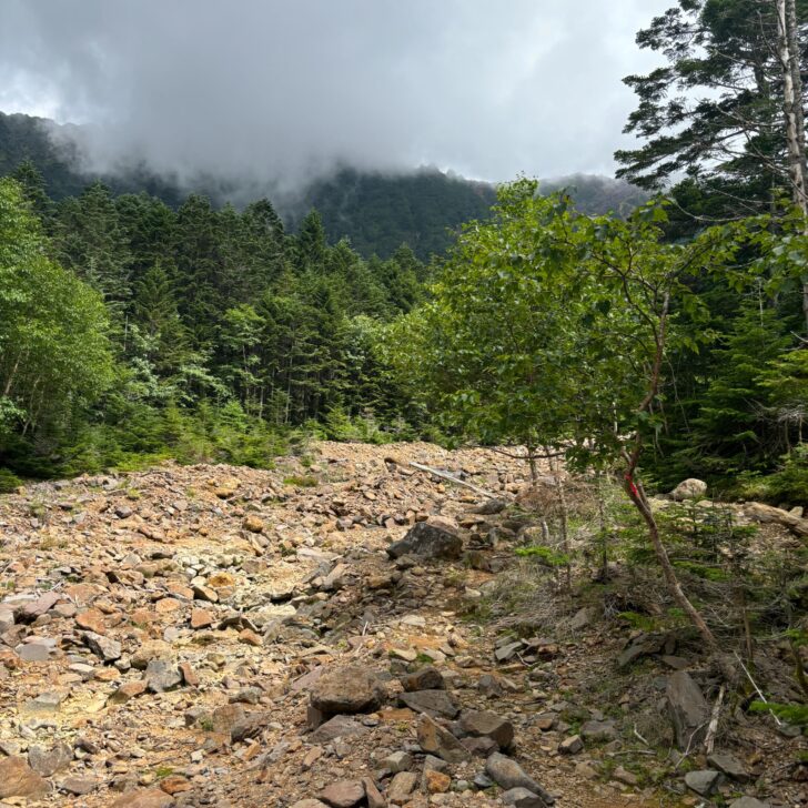 枯れ沢