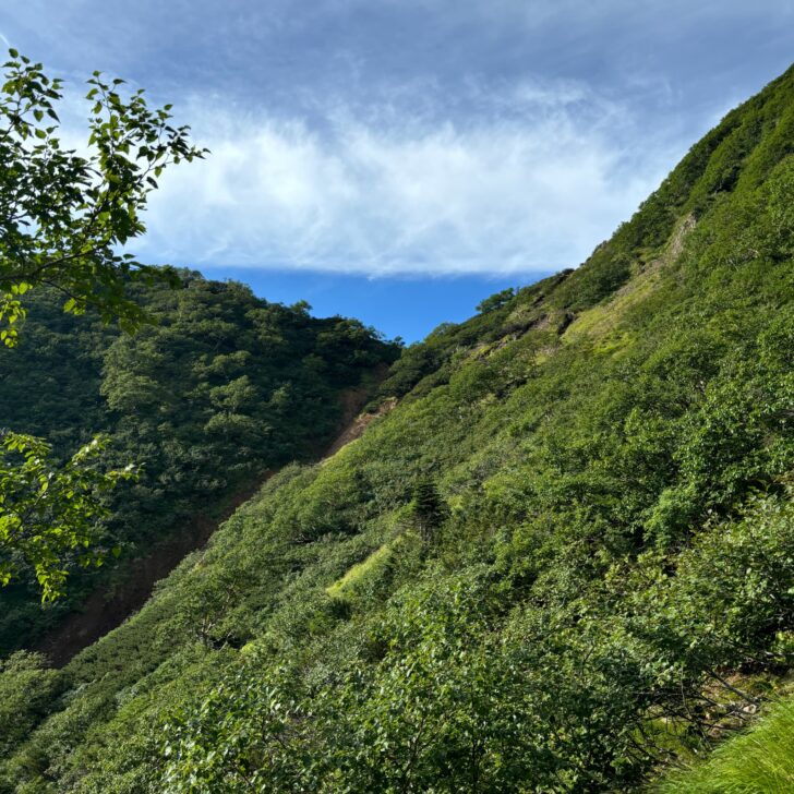 中岳のコル