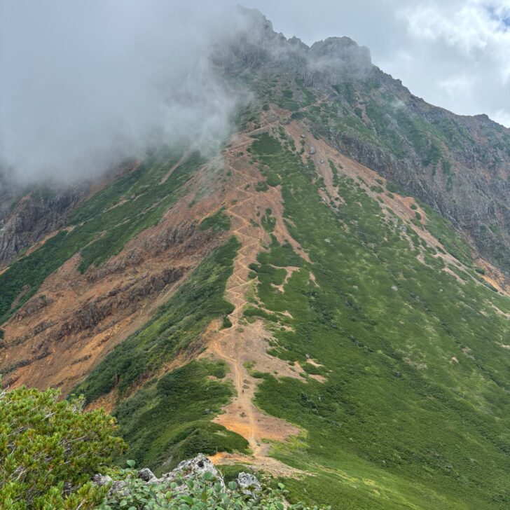 九十九折の登山道