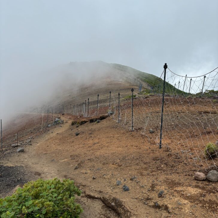 奥の院を過ぎたところの登山道