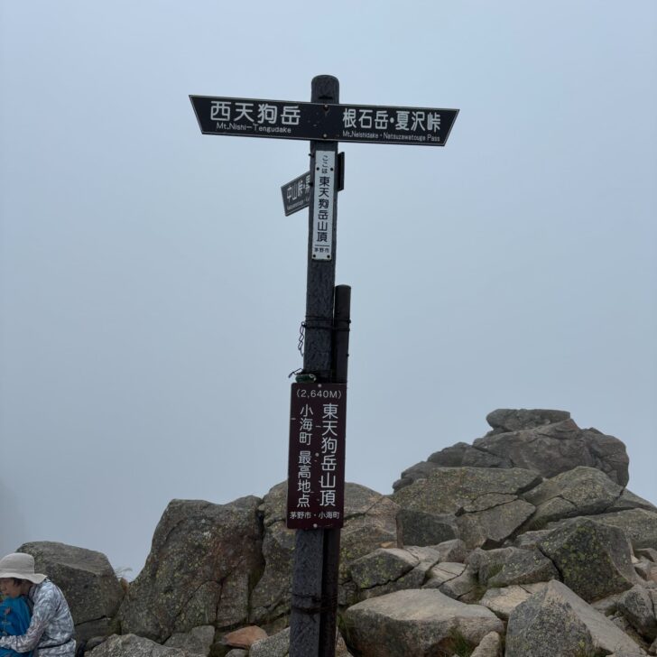 東天狗岳山頂