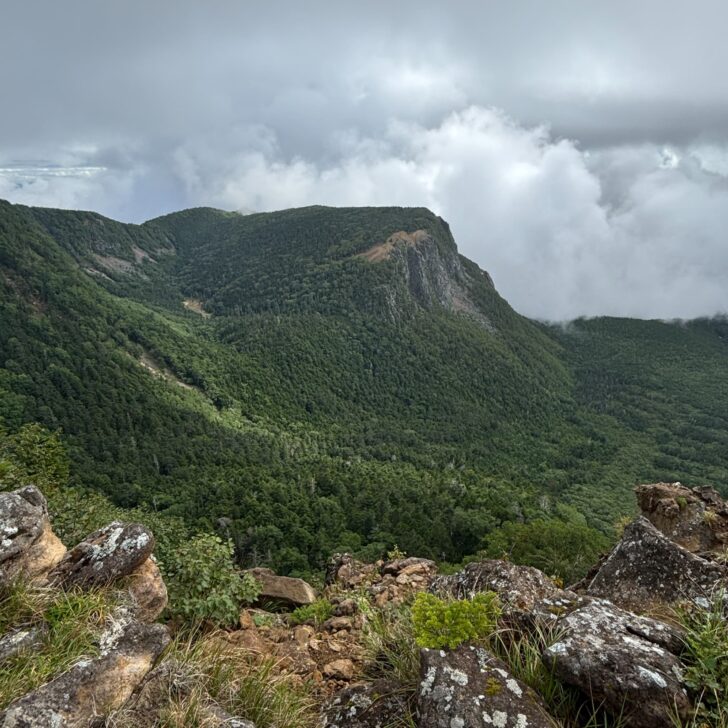 稲子岳