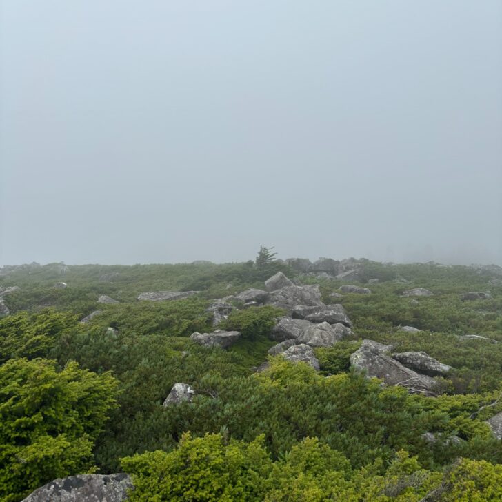 中山展望台