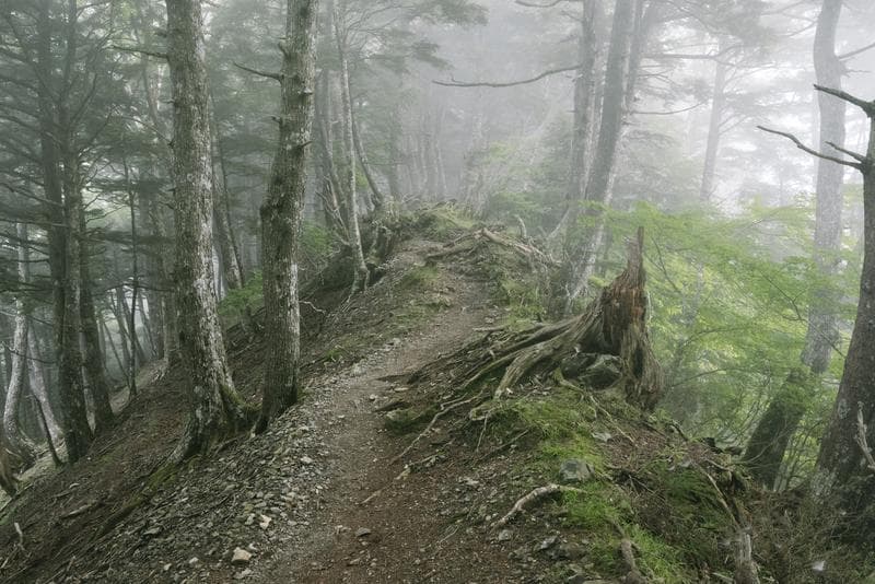 ヤマビルのいる登山道