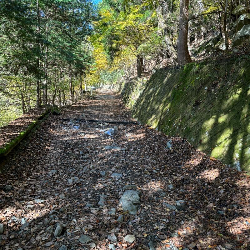 徳和川沿いの林道