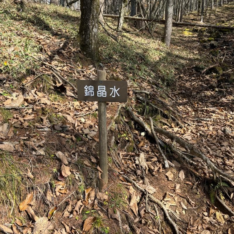 錦晶水の看板