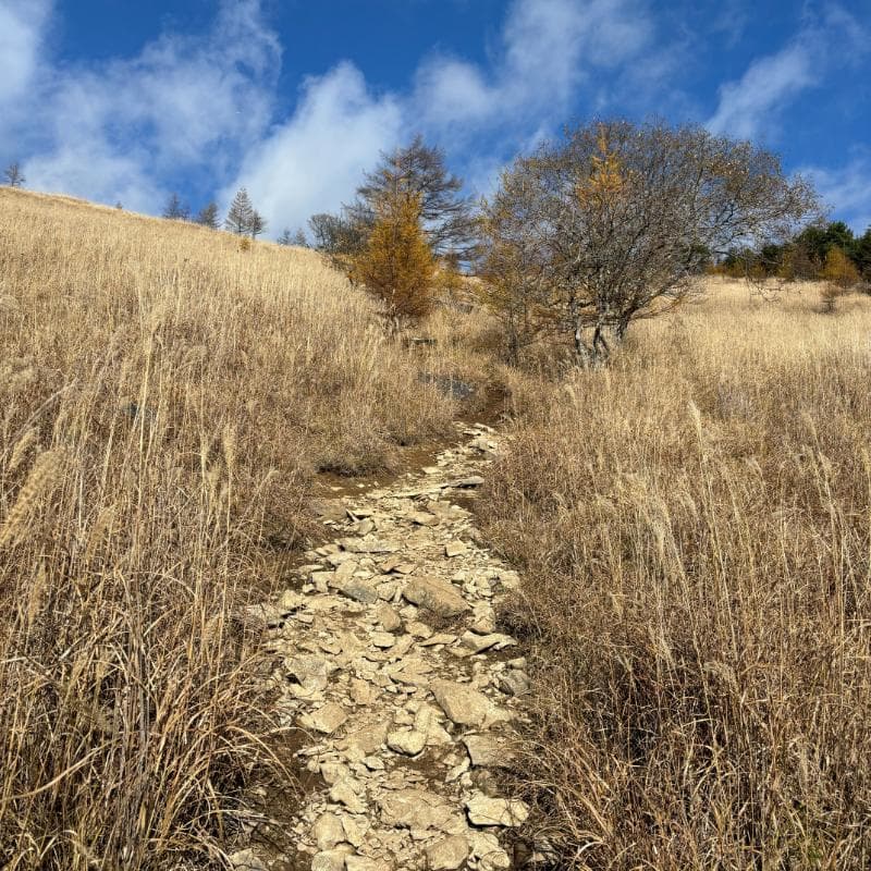 すすき野の登山道