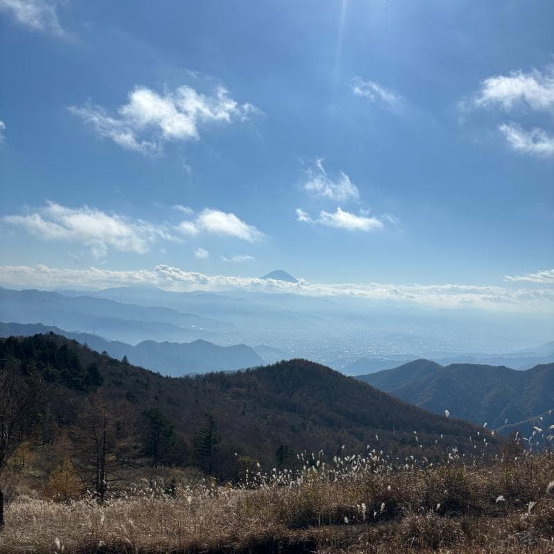 扇平から見た富士山