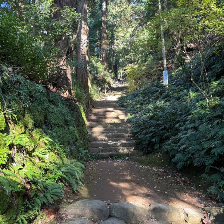 日向薬師本堂への階段