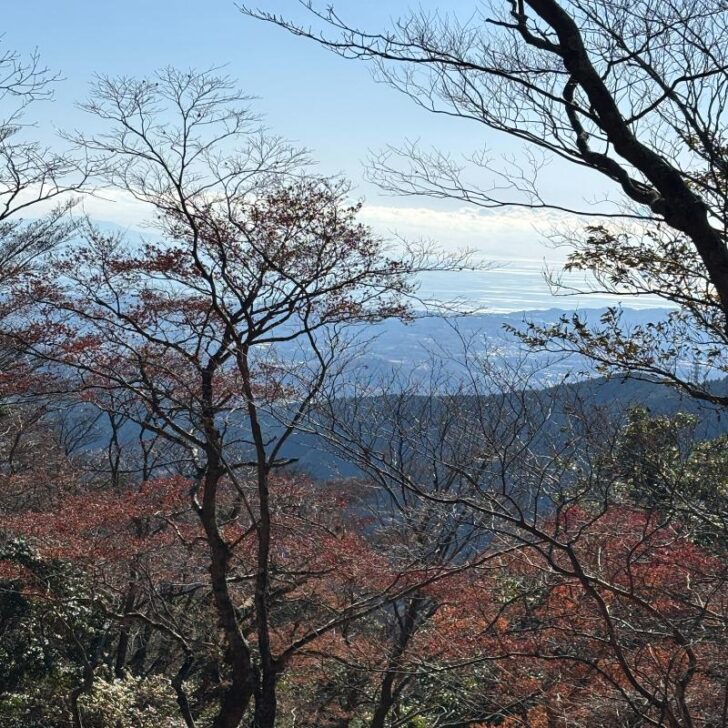 相模平野