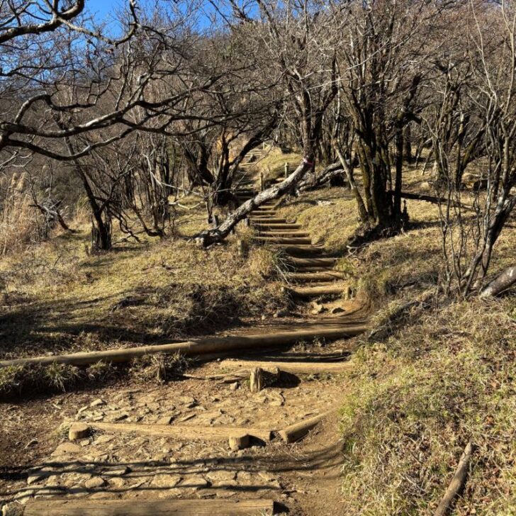 段差のある登山道