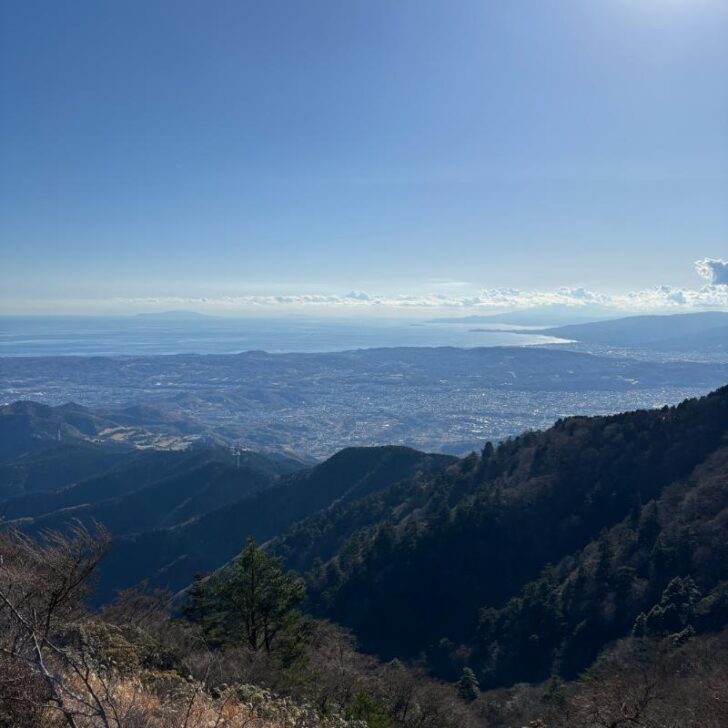 相模湾