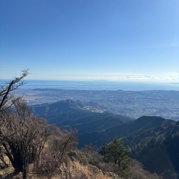 相模湾