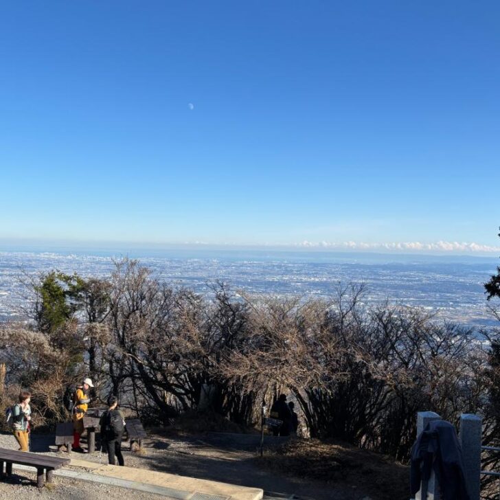 大山山頂からの眺め