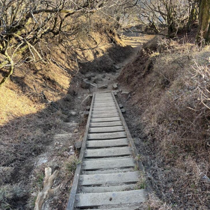 大山登山道