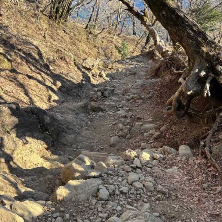 大山登山道