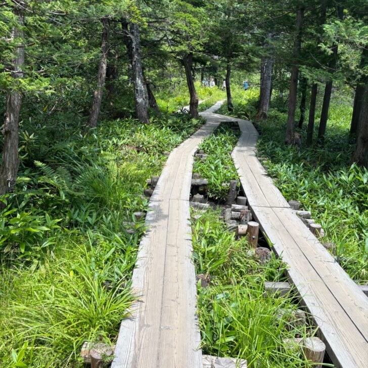 板敷の遊歩道