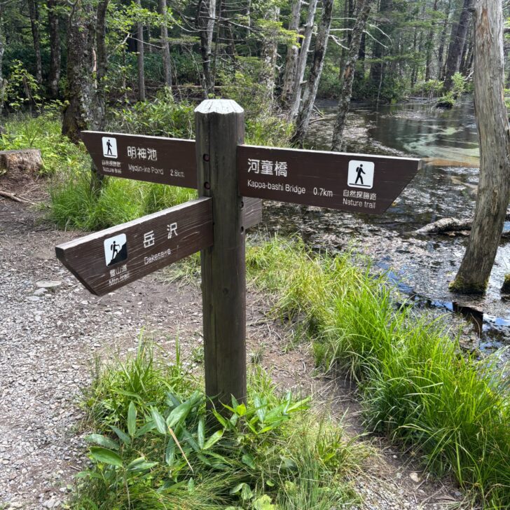 岳沢道標