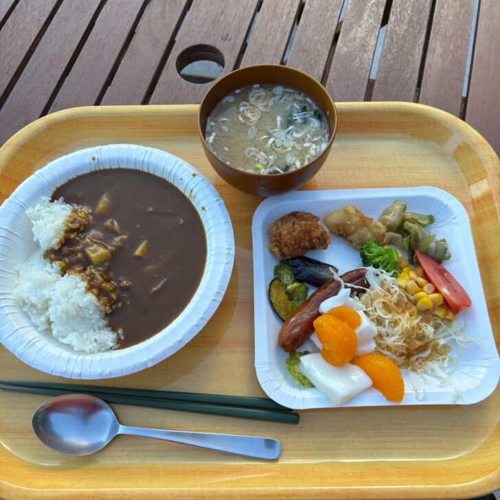 夕食はカレー