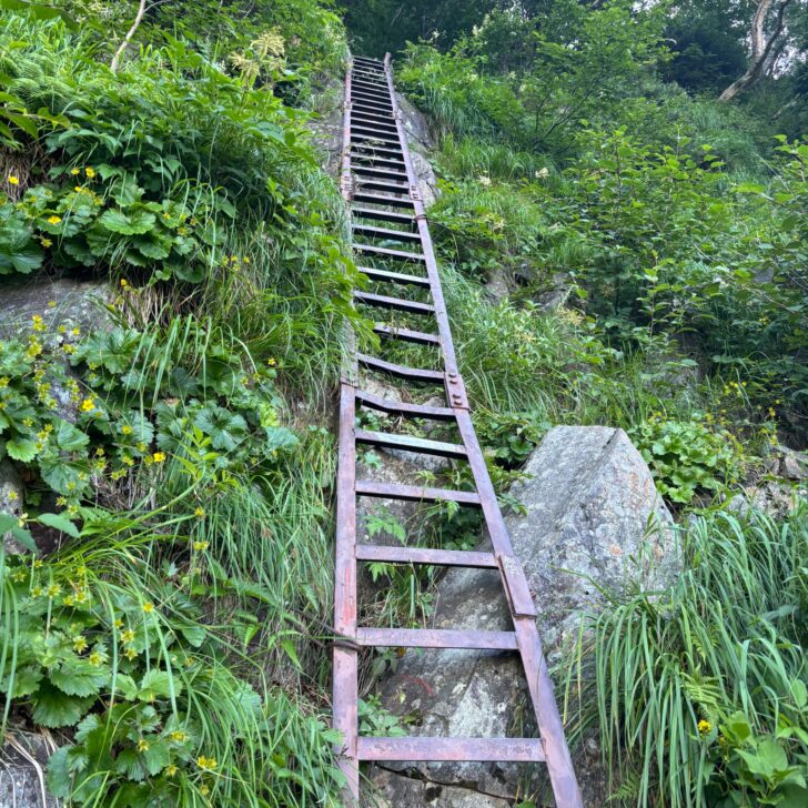 重太郎新道のハシゴ