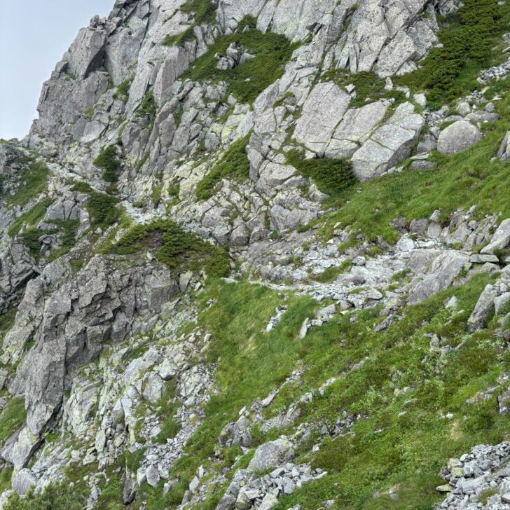 吊尾根の登山道
