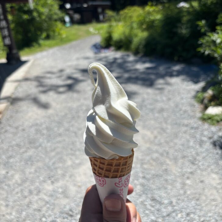 徳沢のソフトクリーム