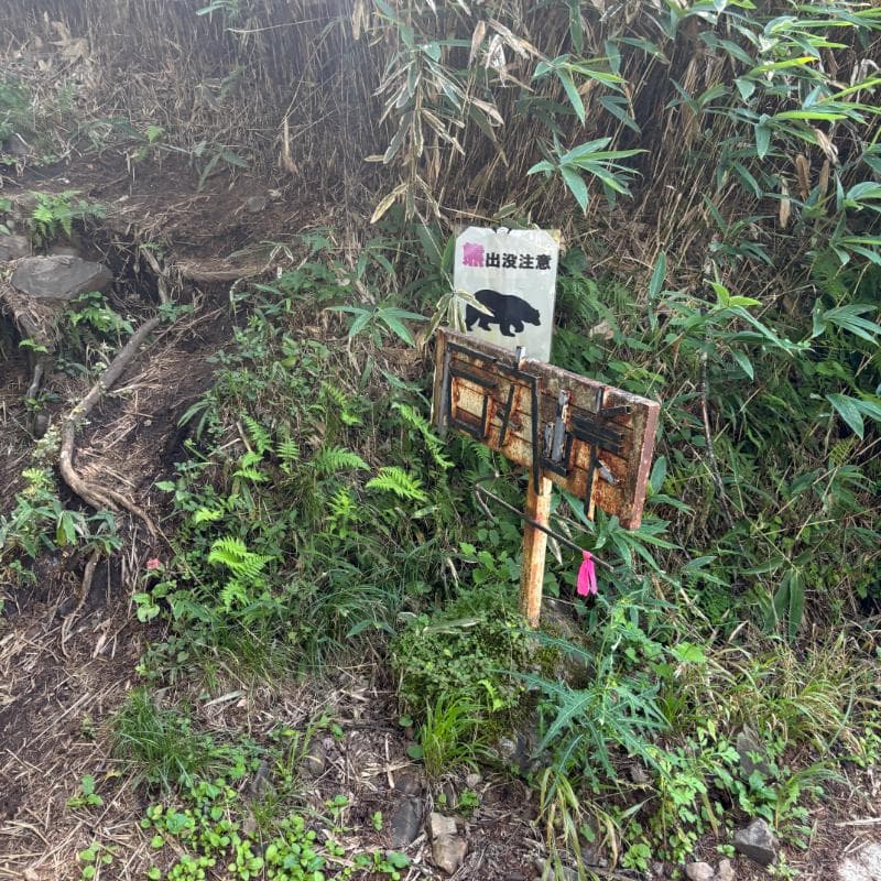 石丸峠への登山口