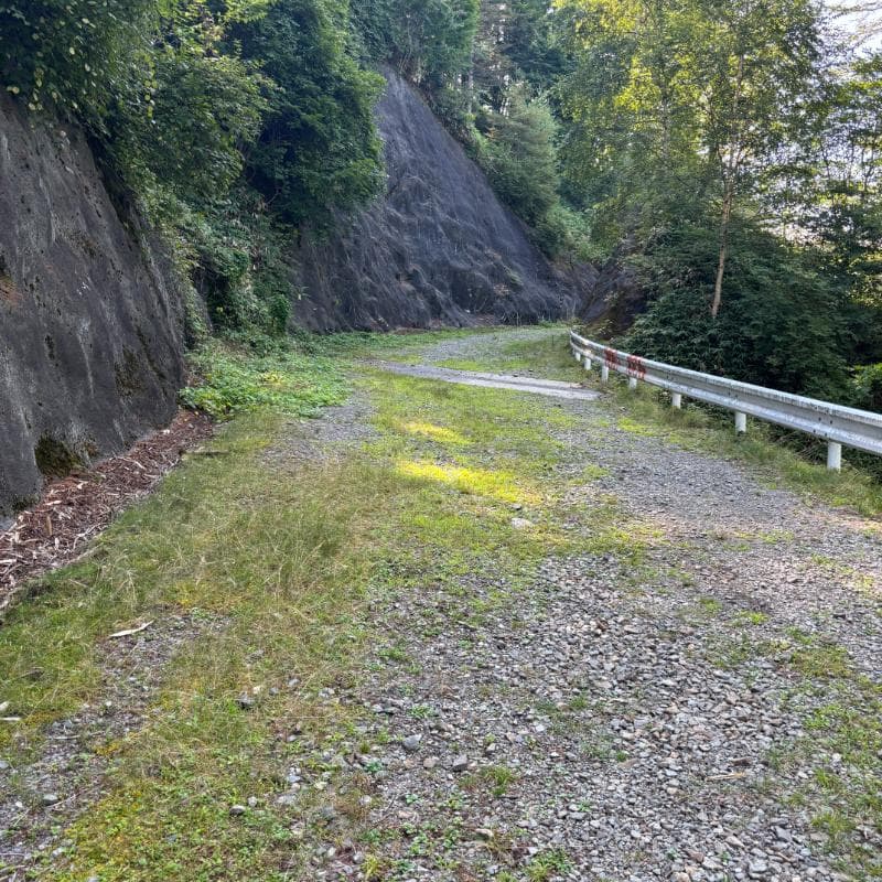 林道