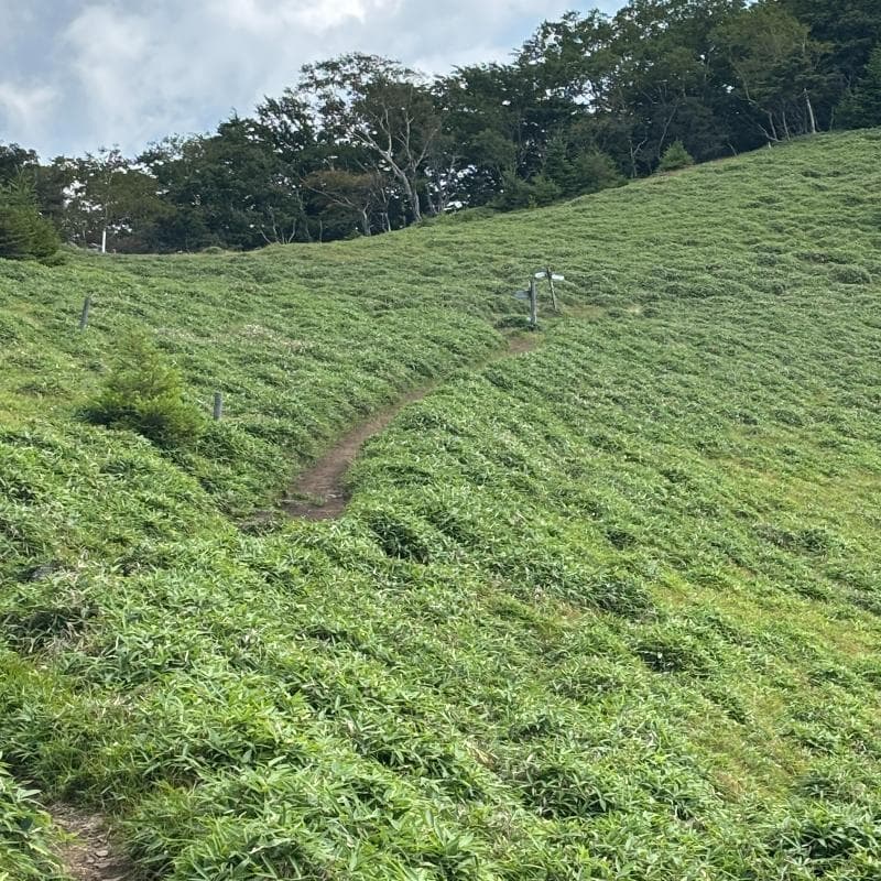 石丸峠合流地点