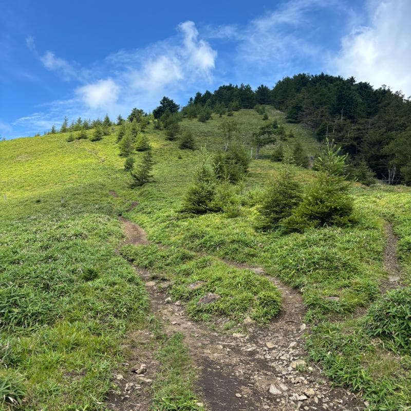 石丸峠登山道