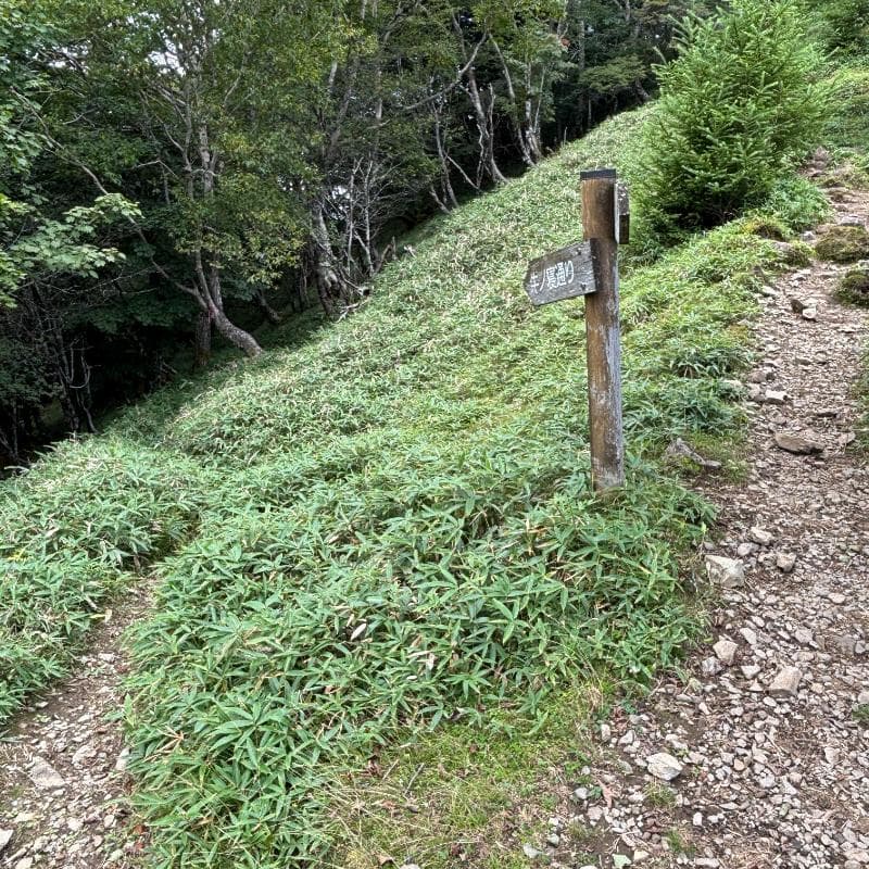 牛の寝通りの分岐