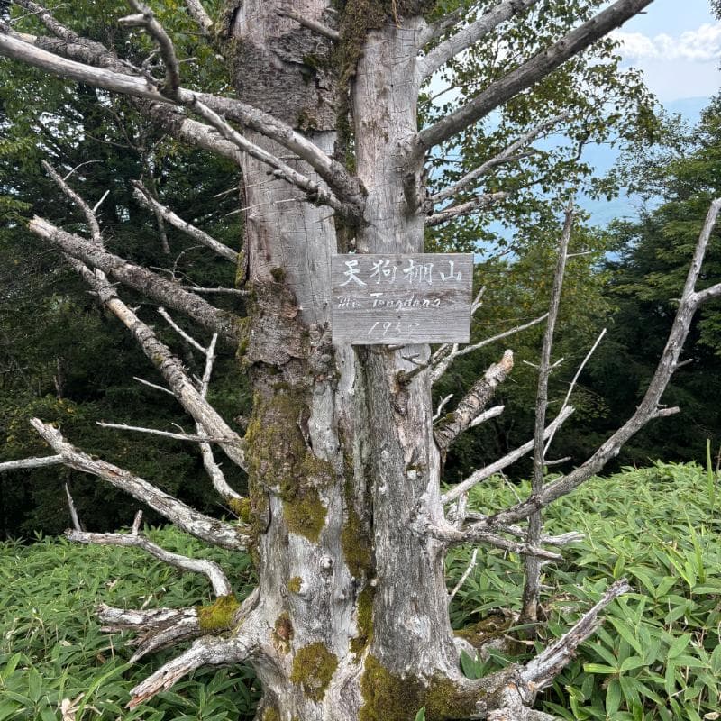 天狗棚山
