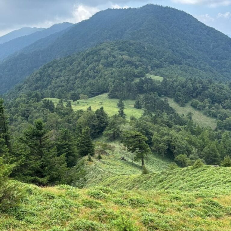 小金沢山への登山道