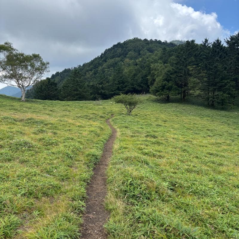無人の登山道