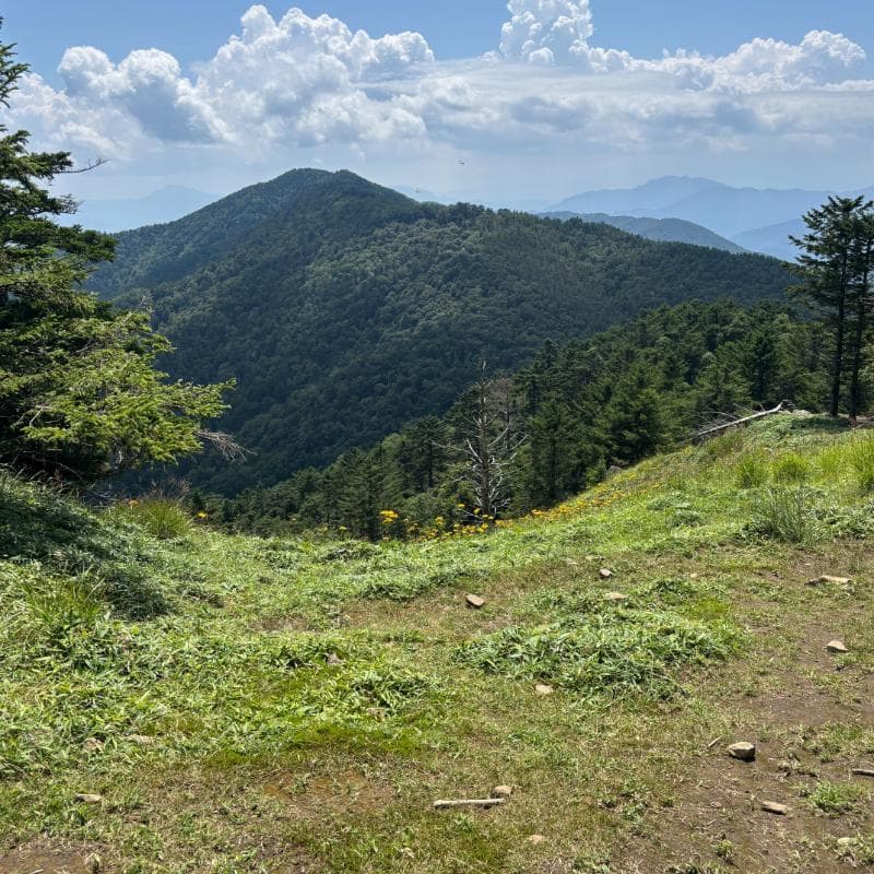 伊豆半島方面の景色