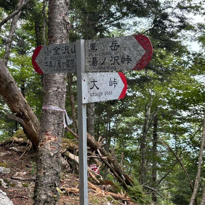 大峠への分岐