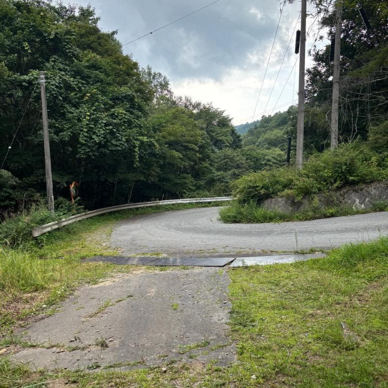 車道に合流