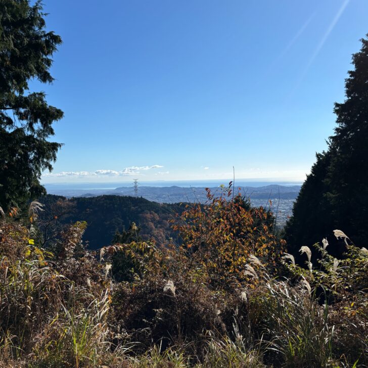 大倉尾根からの展望