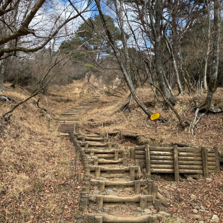 バカ尾根の階段