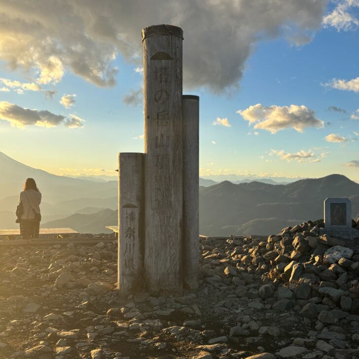 塔ノ岳の頂上標