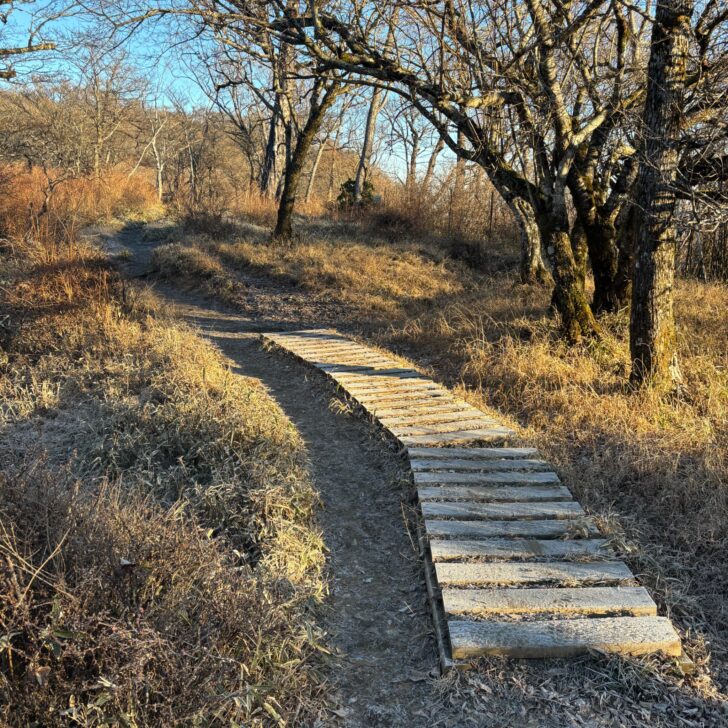 丹沢山へのルート