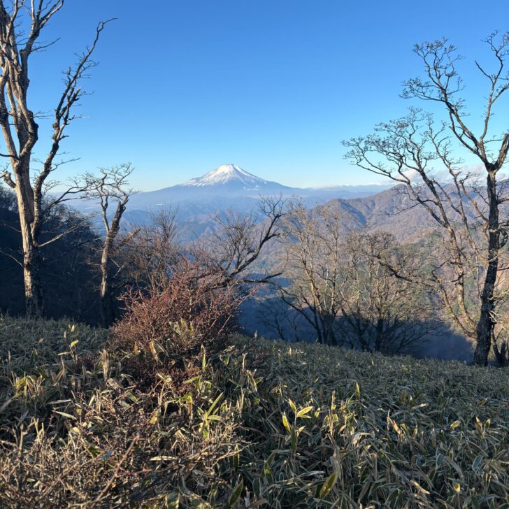 富士山