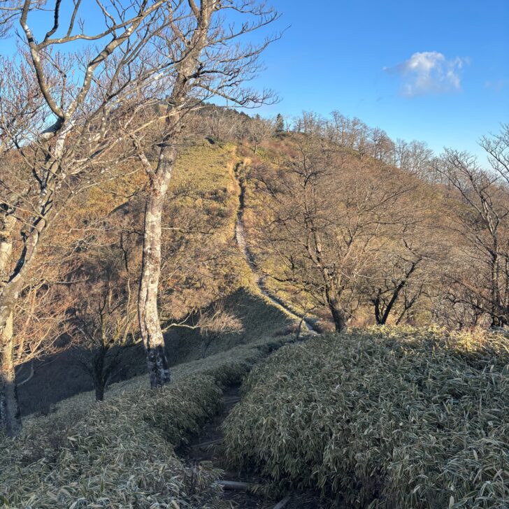 丹沢山へのルート